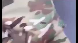 Emotional reunion: military mother surprises daughter at graduation, leaving hearts touched