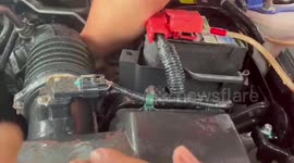 Mechanics yank out water monitor lizard hiding sheltering car engine during storm