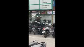 Runaway cow wreaks havoc on parked motorbikes