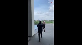 Dead Crow in a pool brings a whole murder of them around *Insane sights*