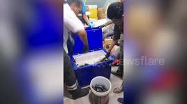 Schoolgirl, 12, 'beaten to death with baseball bat by evil stepfather' before being buried in ice box