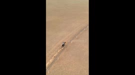 9-yr-old girl wins 10,000-meter horse race in China's Inner Mongolia
