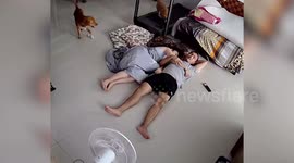 Pair of clingy pet dogs squeeze between couple to sleep together