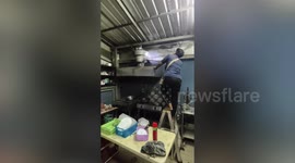 Thai rescuers search and catch snake hiding inside restaurant’s kitchen