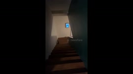 Adorable mishap: Muffin's first staircase struggle in Cincinnati