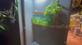 Restaurant with an unusual outdoor fish tank in Bangkok