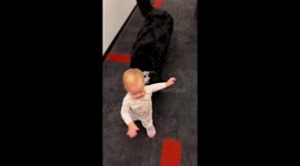 Unbreakable bond: dog becomes toddler's playful guardian in heartwarming video