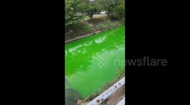 'It's the colour of a highlighter pen!' River in Japan turns bright green, shocking residents