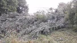 Netherlands: Record-Breaking Summer Storm Poly Leaves Trail Of Damage Across Country
