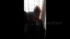 Dog seems to sing while man plays guitar