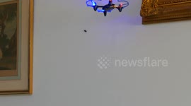 American man tries to kill roach in his kitchen using drone