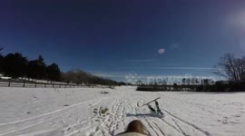 Skijoring fails