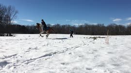 Skijoring slo-mo