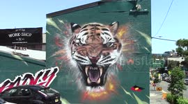 Sydney Graffiti Art
