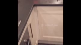 How to ruin your flatmate's shower