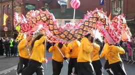 Chinese New Year Celebrations - Dragon Dance 2016