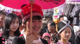 Strawberry Festival in Thailand