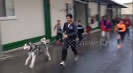 Husky dog entertains refugee children at camp