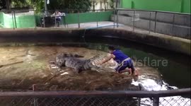 Man grabs crocodile's tongue in Thailand