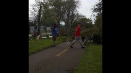 Crazy weather