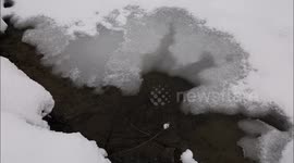 Ice Formation over Lake Erie Amid the Polar Vortex #ArcticBlast