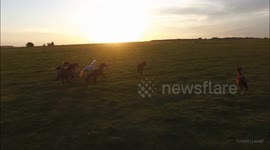 Wild horses filmed from the air on a giant ranch at sunset