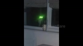 Alien Cat with Laser eye's.....creepy!!