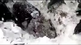 Indian miracle soldier rescued from 35feet under snow on 7 th day