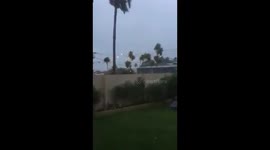 Electricity lines spark as trees fall during Cyclone Winston