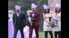 World's first black swan wedding is hosted in China