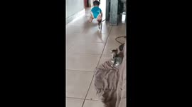 Making Friends With A Cockroach