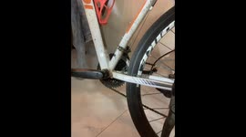 Dog Does Her Best to Help Bicycle Mechanic