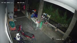 Hungry mother jumbo steals food from family's home