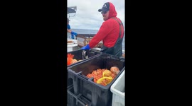 Man puts a live crab in a girl's clothes *Hilarious Prank*