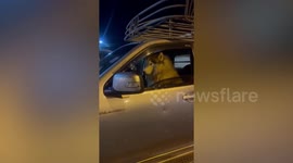 Aloof pet dog ignores stranger saying 'hi' while sitting inside pickup truck