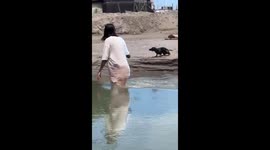 Cute Dachshund Dog almost gets swept away trying to swim to the owner