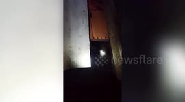 Leopard strays into house in central India, locals rescue child trapped inside