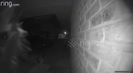 Tarantula Knocks On Doorbell Camera