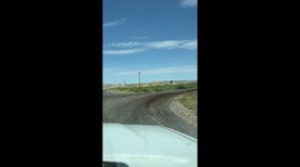 Cricket Swarms in Colorado