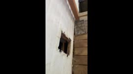 Bentlee Gets Stuck In Doggy Door