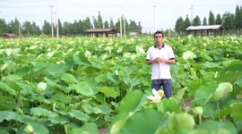 Traditional delicacy on Chinese solar term Minor Heat