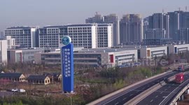 SCO good example of win-win cooperation: experts