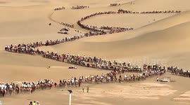 'Camel jams' become summer norm as tourists flock to China's iconic scenic spot