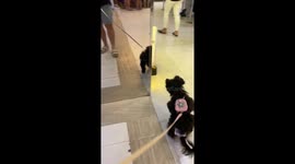 Gabbie's First Time Seeing Her Reflection