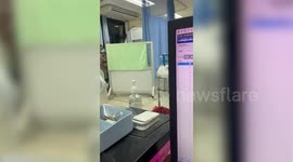 Pet dog sits on top of injured man being taken inside hospital emergency room