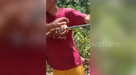 Hero farmers help pull exhausted trapped water buffalo from ditch