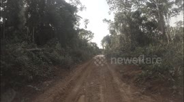 Extreme road in the depths of the African jungle: off-road through the rainforest of Central Africa.