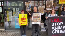 Animal rights activists stage protest in London against cruelty to chickens outside Lidl
