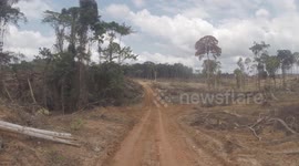 Africa's impassable roads. Extreme road in the depths of the African jungle: driving. Central Africa. Equatorial Guinea.