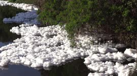 Impact of Toxic Foam in Tiete River on Communities in Sao Paulo, Brazil
